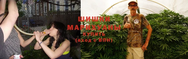 шишки Великий Новгород