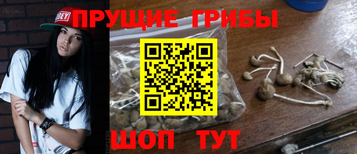 Фролово  Псилоцибиновые грибы мицелий  Вход с VPN 