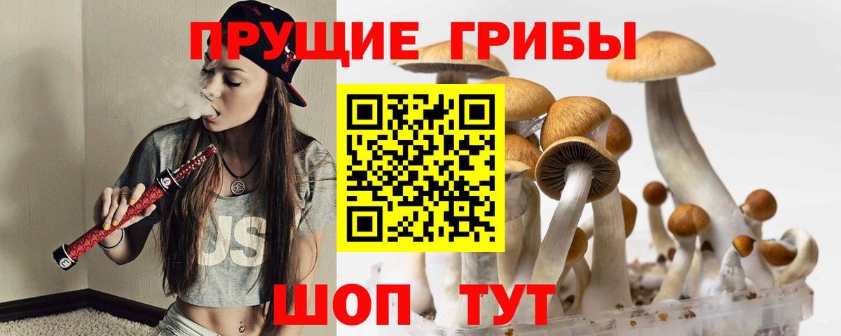 Галлюциногенные грибы Cubensis Фролово